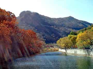 天天彩好彩天天免费，今日柴油批发价格